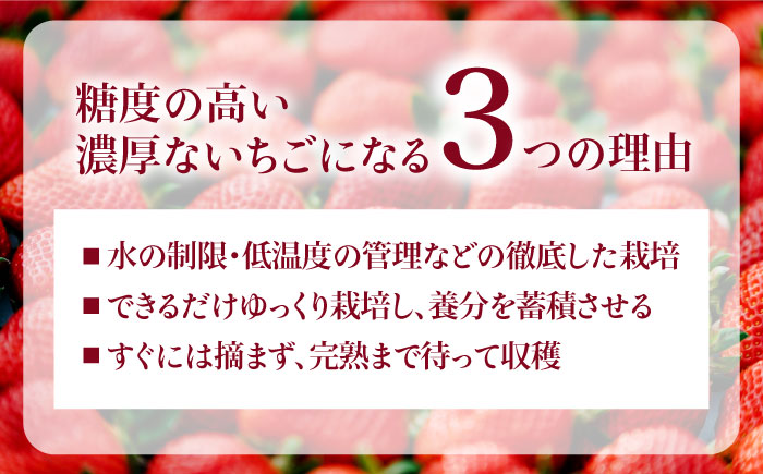 【先行受付】【全3回定期便】完熟 あまおう 270g × 2パック / あまおう ジャム 140g × 3本  【2026年1月より順次発送】 糸島市 / slowberry strawberry 苺 いちご [APJ005]