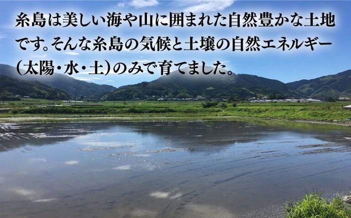 【令和7年産】伊都の米 （ ヒノヒカリ ） 2kg 糸島市 / 伊都福祉サービス協会 [APL001] 米 白米 玄米