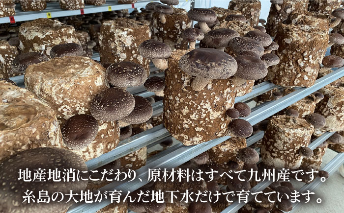 【伊都の誉】乾燥椎茸 各種 詰め合わせ 糸島市 / 伊都福祉サービス協会 [APL002] しいたけ シイタケ