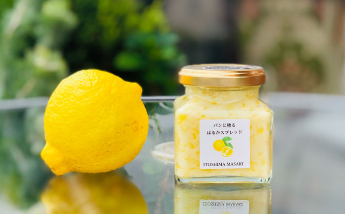 はるかバター 大 1個 糸島市 / 糸島正キ みかん ジャム クリーム [AQA058]