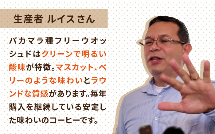 【年内発送】中煎りコーヒー豆250g×2袋 （豆・粉選べます） ニカラグア産ラベンディション農園パカマラ種フリーウォッシュド 糸島市 / COFFEE UNIDOS 珈琲/カフェ/コーヒー粉 [AQF002]