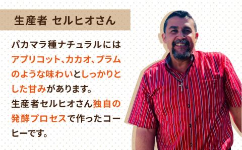 【年内発送】中煎りコーヒー豆250g×2袋 （豆・粉選べます） エルポルベニール農園パカマラ種ナチュラル 糸島市 / COFFEE UNIDOS 珈琲/カフェ/コーヒー粉 [AQF004]
