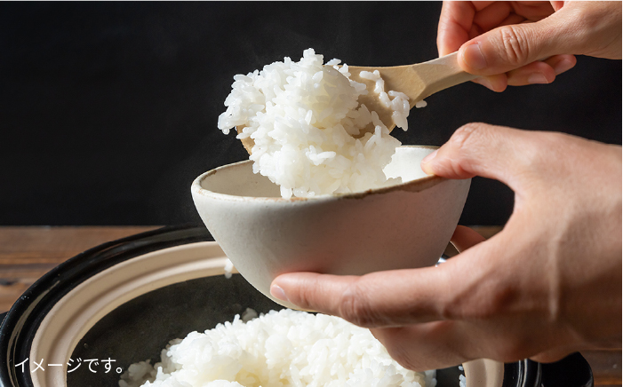 【令和7年産新米】とくべつ の中の とくべつ 糸島 特別栽培米 5kg （ 夢つくし ）《 糸島 》【株式会社やました】 [ARJ008]