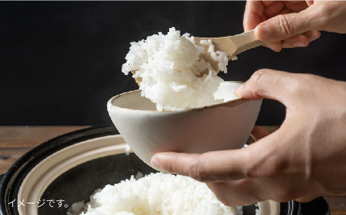 【令和7年産新米】【全3回定期便】とくべつの中のとくべつ 糸島 特別栽培米 5kg （ コシヒカリ ）《糸島》【itoshimacco / 株式会社やました】 [ARJ025]