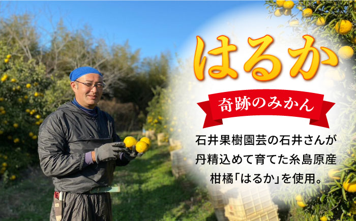 糸島はるかの炭酸水 500ml×24本入り 糸島市 / スターナイン [ARM021] ペットボトル 24本 常温 強炭酸 炭酸水 無糖 ノンシュガー フレーバー まとめ買い 箱買い