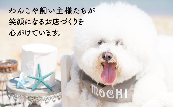 【全2回定期便】そのまま 4点 セット 糸島市 / 株式会社コバヤシ【coco.kina】 犬 おやつ ジャーキー チップス 無添加 [ASL005]