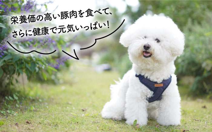 【糸島特産品使用】 無添加 そのまま 糸島華豚 3袋 糸島市 / 株式会社コバヤシ【coco.kina】 犬 おやつ ドッグフード ジャーキー [ASL007]