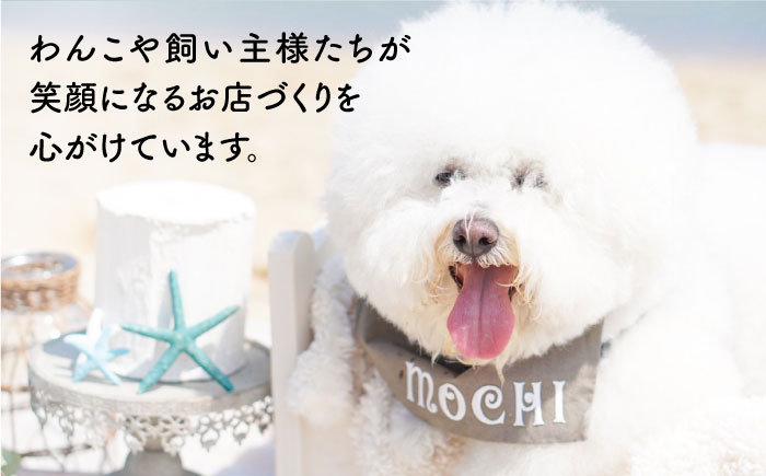 ぶり ジャーキー 30g×3袋 糸島市 / 株式会社コバヤシ【coco.kina】 [ASL010]