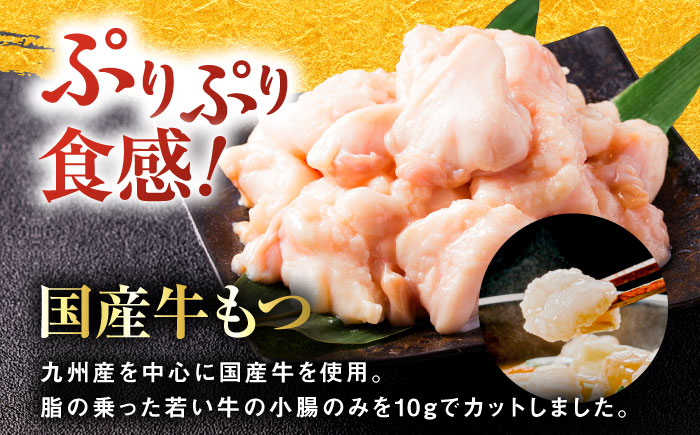 【年内発送】【年間100万食販売！】博多もつ鍋おおやま もつ鍋 みそ・しょうゆ味 食べ比べセット各2人前（合計4人前） 醤油 味噌モツ鍋 糸島市 / 株式会社ラブ [ASP009]