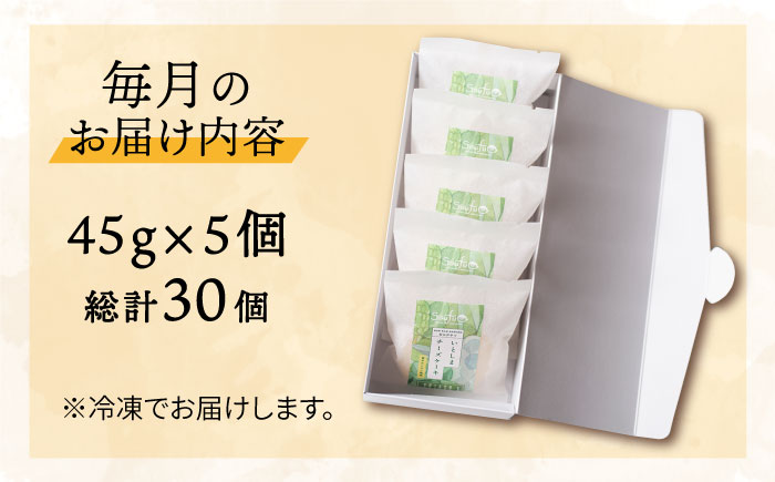 【全6回定期便】無添加チーズのいとしまチーズケーキ【5個入り】糸島市 / 糸島手作り工房 爽風 [ATA006]