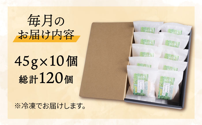 【全12回定期便】無添加チーズのいとしまチーズケーキ【10個入り】 糸島市 / 糸島手作り工房 爽風 [ATA010]