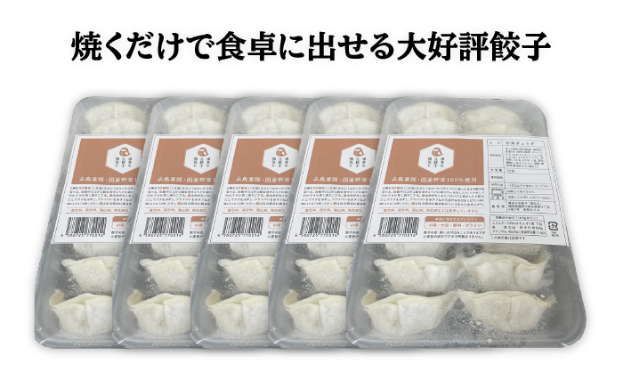 博多の生餃子 福包み（16個入り×5パック）≪糸島市≫【福包み】餃子/生餃子/華豚 [AUI006]