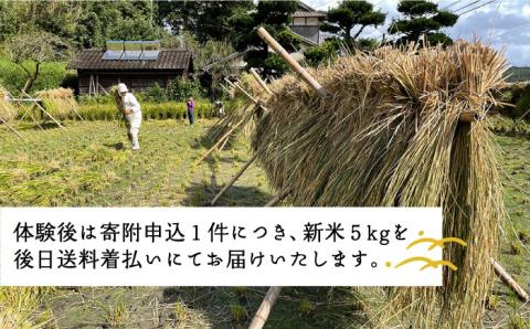 お米づくり 体験チケット 糸島市 / 天然パン工房楽楽【いとしまごころ】 [AVC065] 体験 農業 食育