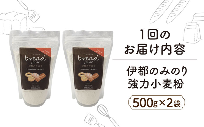 【全6回定期便】特別栽培 小麦 使用 伊都 の みのり( 500g × 2袋 )糸島市 / 天然パン工房楽楽【いとしまごころ】 [AVC067]