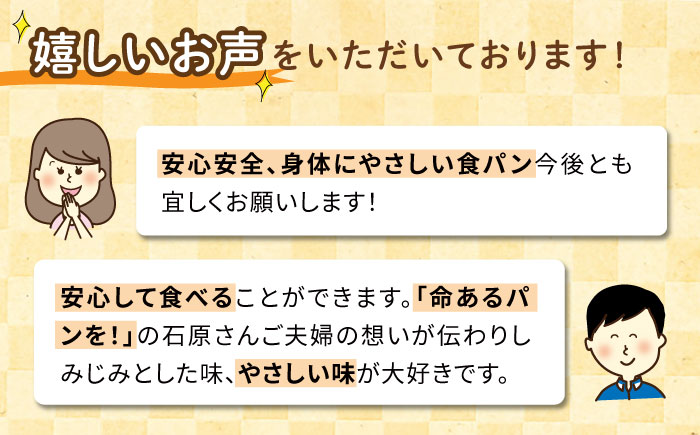 【計量不要】 だれでも作れる 竹炭米粉 ピザキット 3回分 糸島市 / 天然パン工房楽楽 【いとしまごころ】 ピザ 竹炭米粉 [AVC071]