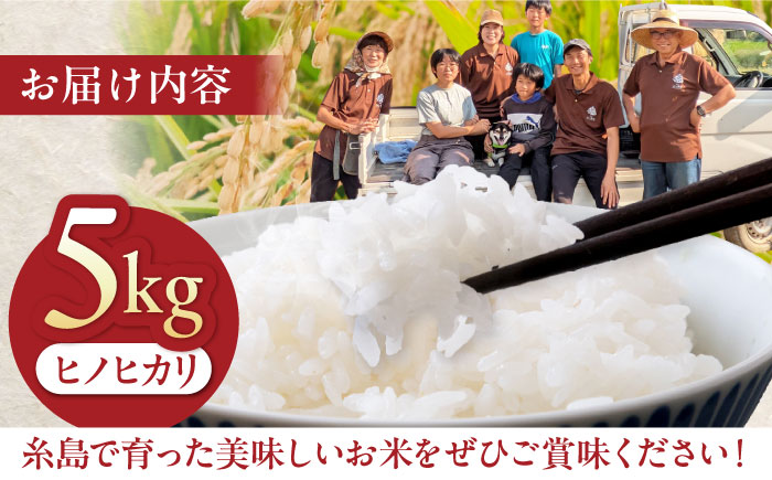 福岡県 糸島市産 白米　ヒノヒカリ　5kg 糸島市 / 谷川農園 コメ 米 ひのひかり [AVQ006]