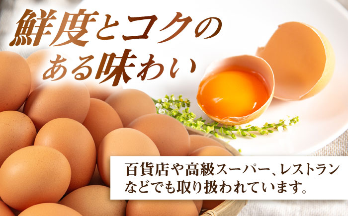 【年内発送】【80個】黄身にコク！白身に甘み！てつやとのりこの玉子 板垣ファーム [AWD003]