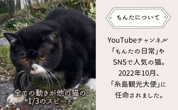 【 SNSで人気の猫 / 糸島観光大使】【 もんた 】 マスコット キーホルダー 糸島市 / Basismall 猫 ネコ 観光大使 [AXL002]