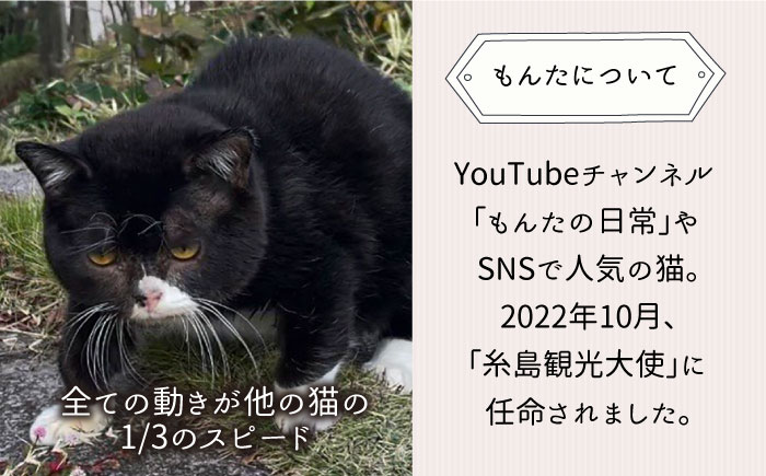 【 SNSで人気の猫 / 糸島観光大使】【 もんた 】キャンバス トートバッグ 糸島市 / Basismall 猫 ネコ 観光大使 [AXL003]