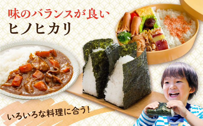【年内発送】糸島産 ヒノヒカリ 20kg 糸島市 / 平山農園 米 白米 米 白米 ご飯 お米 20kg [AXN007]