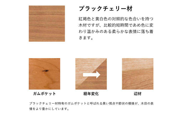 【Ritzwell】RIVAGE　EASY CHAIR　-ブラックチェリー材- 椅子 スツール [AYG039]