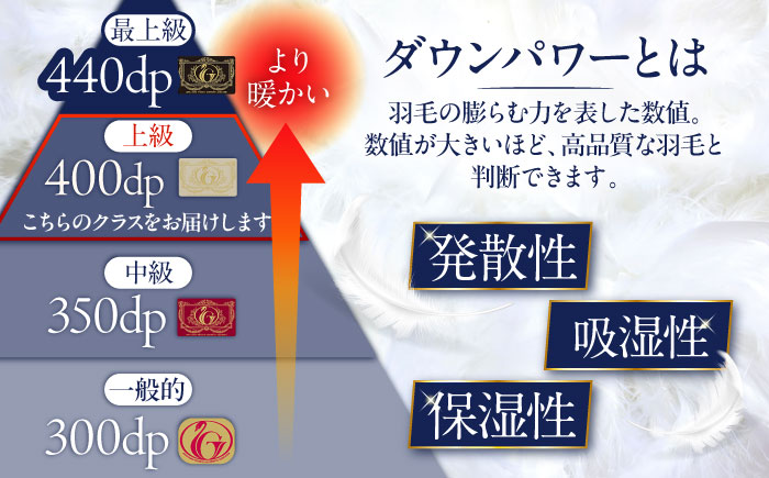 【訳あり】【糸島羽毛ふとん】【高級ダウン使用】羽毛 布団 本掛け 柄おまかせ フランス産 ダウン93％【クイーン】 糸島市 / 株式会社三樹 / 布団 羽毛 [AYM039]