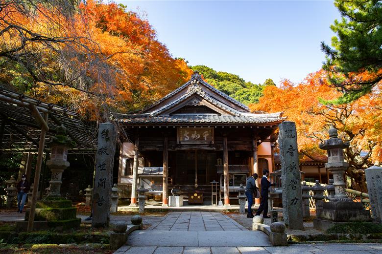 福岡県糸島市ANAトラベラーズホテル割引クーポン30,000点分 [AYY010]