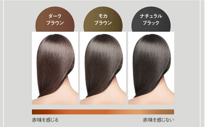 【色が選べる！6本セット】リシリアフレル カラーシャンプー＋カラートリートメント 専用ボトル+詰め替え用パウチセット 糸島市 / 株式会社ピュール シャンプー 白髪染め [AZA178] ダークブラウン