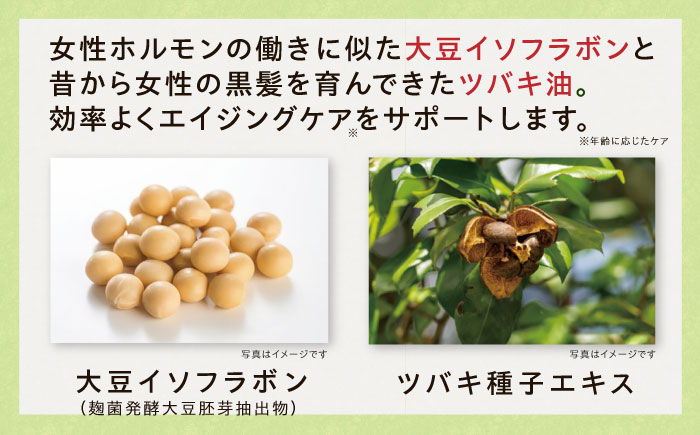 【12箱入　360日分】いとびはつ はぐくむ青汁 糸島市 / 株式会社ピュール [AZA267]