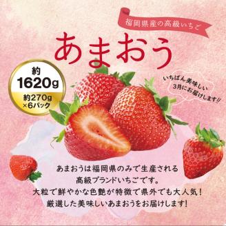 【先行予約】あまおう いちご 1,620g ( 約270g × 6パック ) 【2026年3月初旬より順次発送】 グランデ等級 福岡県産 糸島市 / 株式会社HSP-テクノ [AZL002]