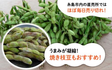 【期間限定！】黒大豆枝豆【幸】1.2kg （400g×3袋） 糸島市 / 染井野菜園 [AZM001] 枝豆 夏野菜 産地直送