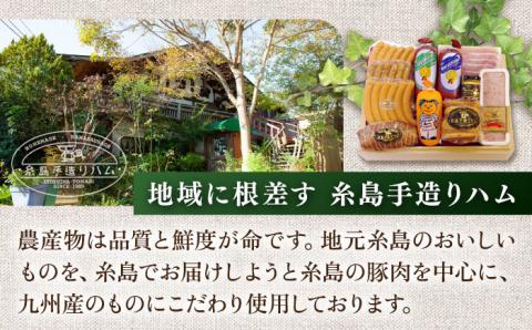 【全12回定期便】【糸島手造りハム】おすすめギフトセット（2）ハム ソーセージ ウインナー [AAC015]