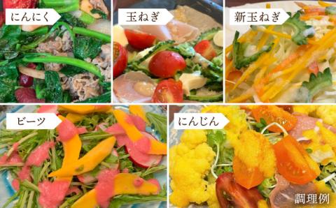 糸島そだちの選べる ドレッシング ×3本セット【農香美人】[AAG001]