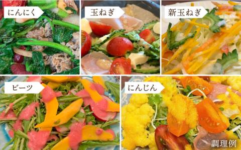 糸島産 野菜が好きになるドレッシング！！5本セット【農香美人】[AAG002]