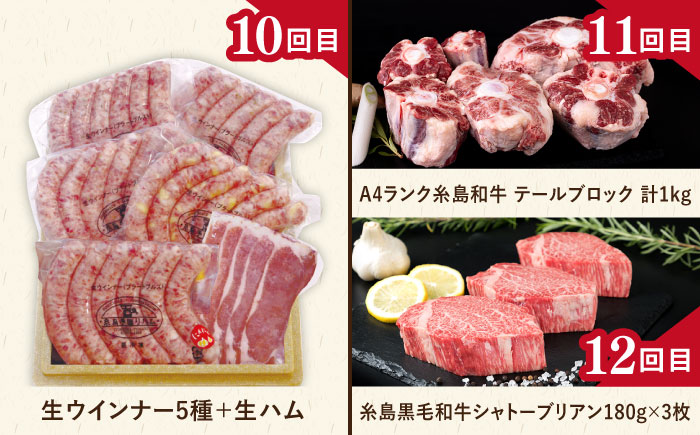 【全12回定期便】肉のお楽しみ定期便 / 15種 食べ比べ セット （ 博多和牛 糸島和牛 糸島豚 はかた地どり イノシシ ウインナー  シャトーブリアン ステーキ ハム ） [AAH009]