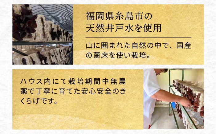 【全3回定期便】結樹農園アグリス めんたいきくらげ300g ≪糸島市≫【結樹農園アグリス】きくらげ/国産/明太/明太子 [AAJ005]