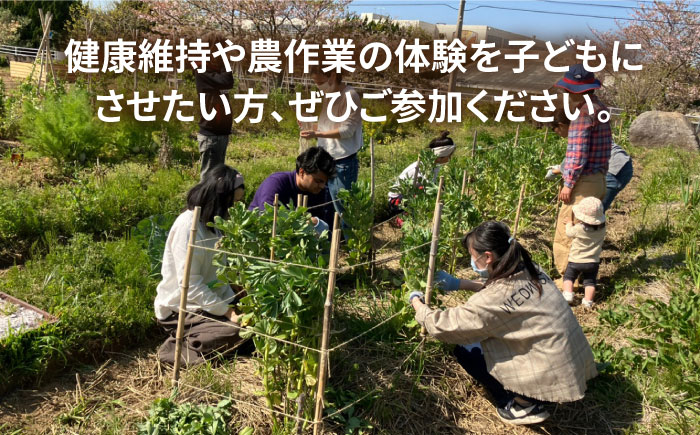 糸島で農業体験(2名) 栽培期間中農薬不使用 無化学肥料 無除草剤の畑で野菜のお世話体験！ [AAL002]