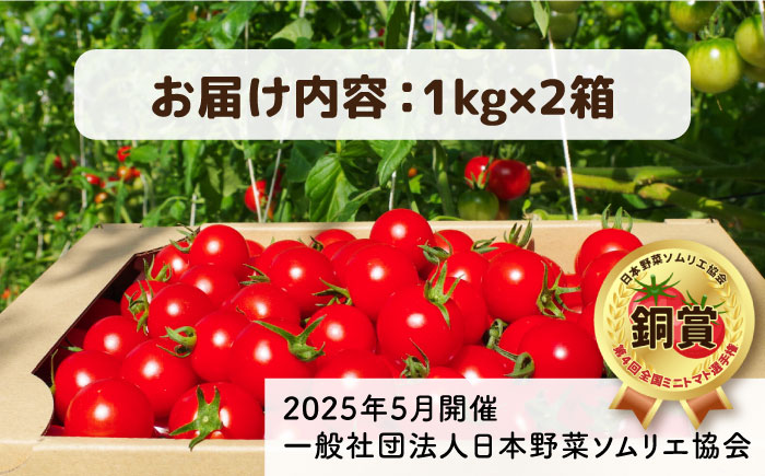 フルティカ 2kg (1kg×2箱) 糸島市 / かわぞえ農園 [AAM006] トマト フルーツトマト