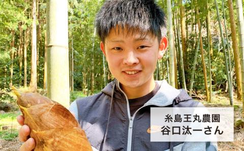 【先行予約】湯がきタケノコ 1kg 【2025年3月下旬以降より順次発送・季節限定】糸島市 / 糸島王丸農園(谷口汰一)【いとしまごころ】 [AAZ009]