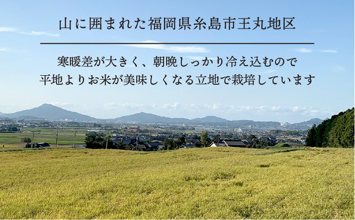 【全6回定期便】糸島産 ヒノヒカリ 10kg×6回 糸島市 / 糸島王丸農園 ( 谷口汰一 )【いとしまごころ】 [AAZ016]