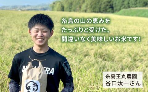 【令和7年産新米】糸島産 ミルキークイーン 10kg  糸島市／糸島王丸農園（ 谷口汰一 ）【いとしまごころ】 米 [AAZ018]