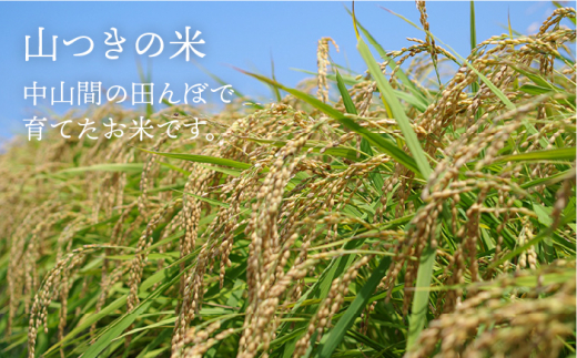 【年内発送】福吉産・ 山つき の もち米 1kg  《糸島》【二丈赤米産直センター】 [ABB027] 糯米 餅 おこわ