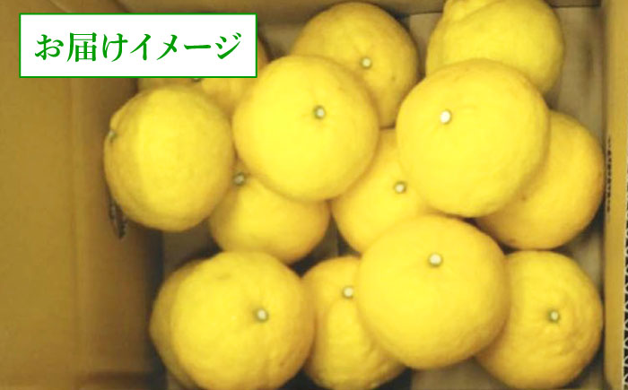 爽やかに甘い！ 糸島産 「はるか」 ジャンボサイズ 約5kg（3L-4Lサイズミックス）糸島市 / 二丈赤米産直センター [ABB031]