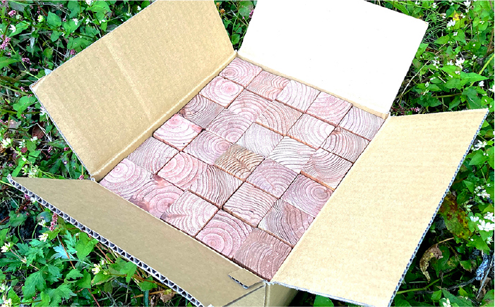 いっぱいこっぱ 積み木 《糸島》【産の森学舎】 [ABC002]