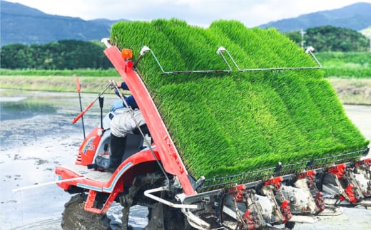 【栽培期間中農薬不使用！】糸島産ヒノヒカリ 10kg（※限定15袋） 糸島市 / みのりのりん [ABD009]