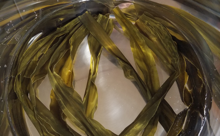 【年内発送】簡単 味噌汁 17杯分 糸島 鯛 液みそ 5本 糸島市 / 糸島食品[ABE019]