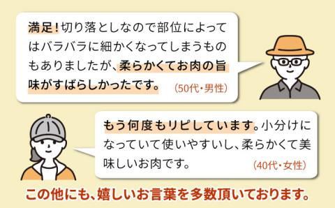 【250gの小分けパック】糸島 黒毛和牛 切り落とし 250g×4P 計1kg もも バラ ミックス A4ランク 糸島市 / 糸島ミートデリ工房 [ACA031] 牛肉 和牛 赤身