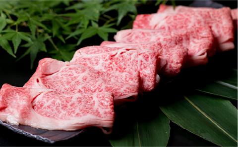 【定期便】A4ランク福岡県産糸島黒毛和牛食べ比べセット 毎月1回合計5回でお届け 糸島ミートデリ工房 [ACA075]