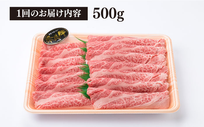 【全6回定期便】高級霜降り 肩ロース スライス 500g A4ランク 糸島 黒毛和牛 糸島市 / 糸島ミートデリ工房 [ACA306]