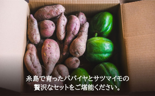 【2023年10月以降順次出荷】山北パパイヤと安納蜜芋の5kgセット 糸島市 / 山北農園 [ACH002]